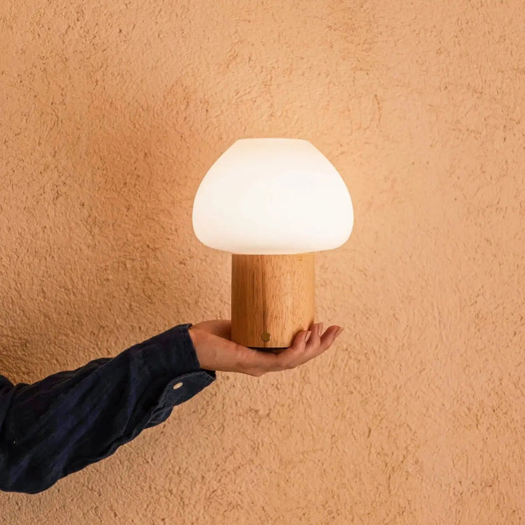 Fynn cordless lamp full product view on white background