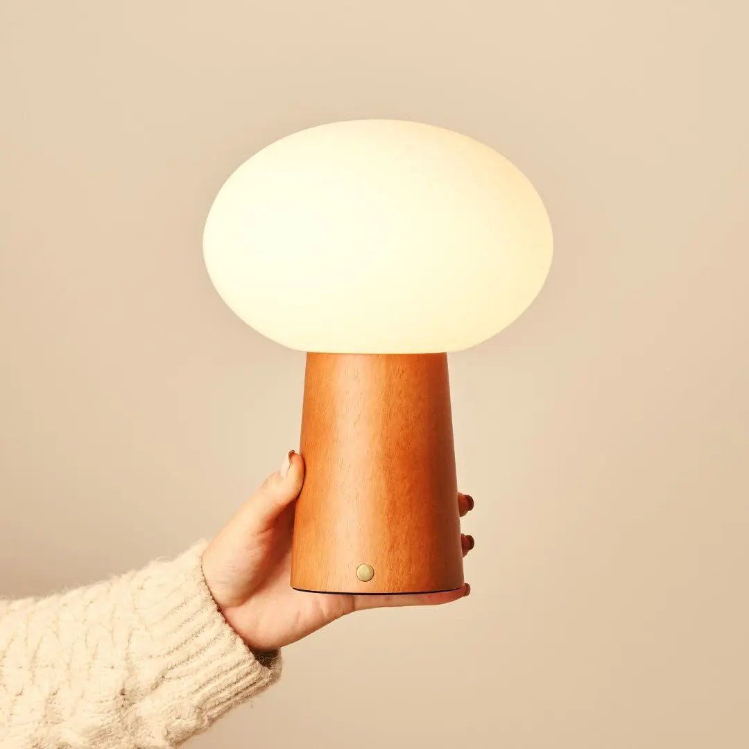 Max rechargeable lamp matte glass shade diffused warm light