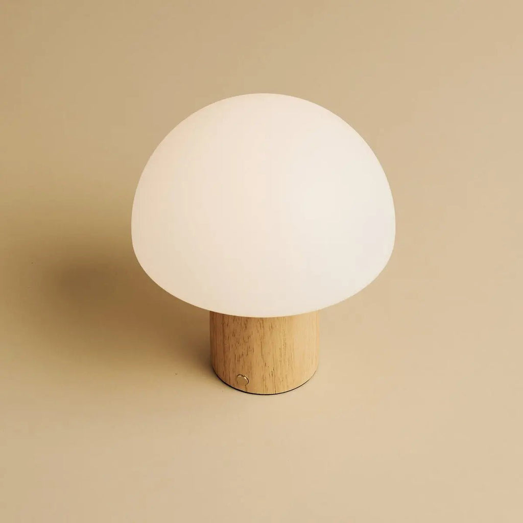 Mia rechargeable lamp task light bright mode