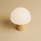 Mia rechargeable lamp task light bright mode