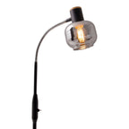 Fumoso Black Smoked Glass Gooseneck Floor Lamp