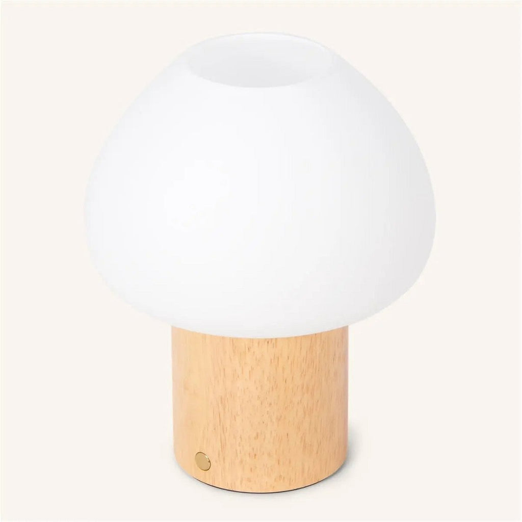 Fynn cordless lamp IP44 rated outdoor use