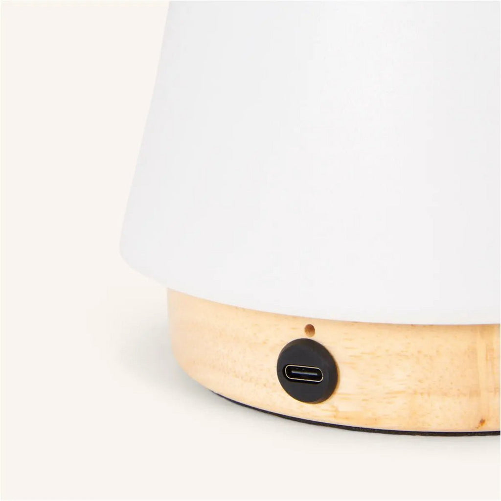 Liv leather lamp in Scandinavian interior