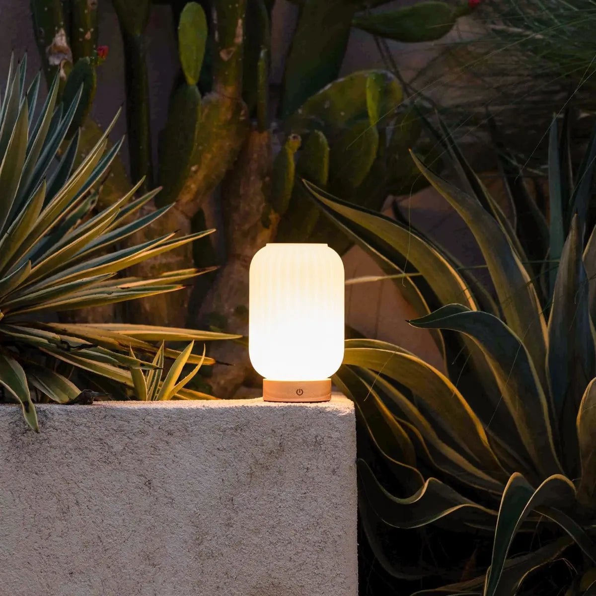 Lilly Light Brown Wood & Glass Cordless Table Lamp