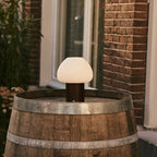 Fynn Dark Brown Wood & Glass Cordless Table Lamp