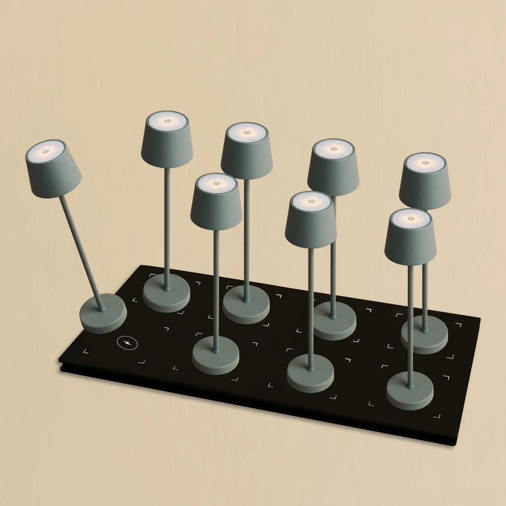 Vondel mouse grey cordless lamp and Central Station Dock Professional Set