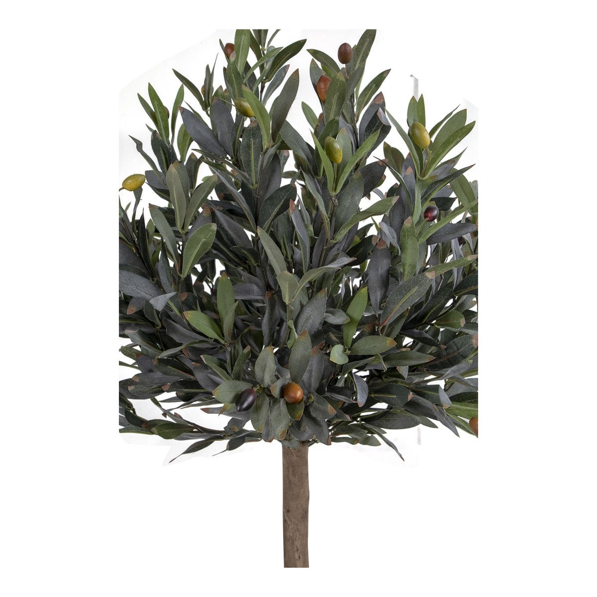 Olivenbaum - Grün, PE-Kunststoff/Polyester, 43x47x120 cm