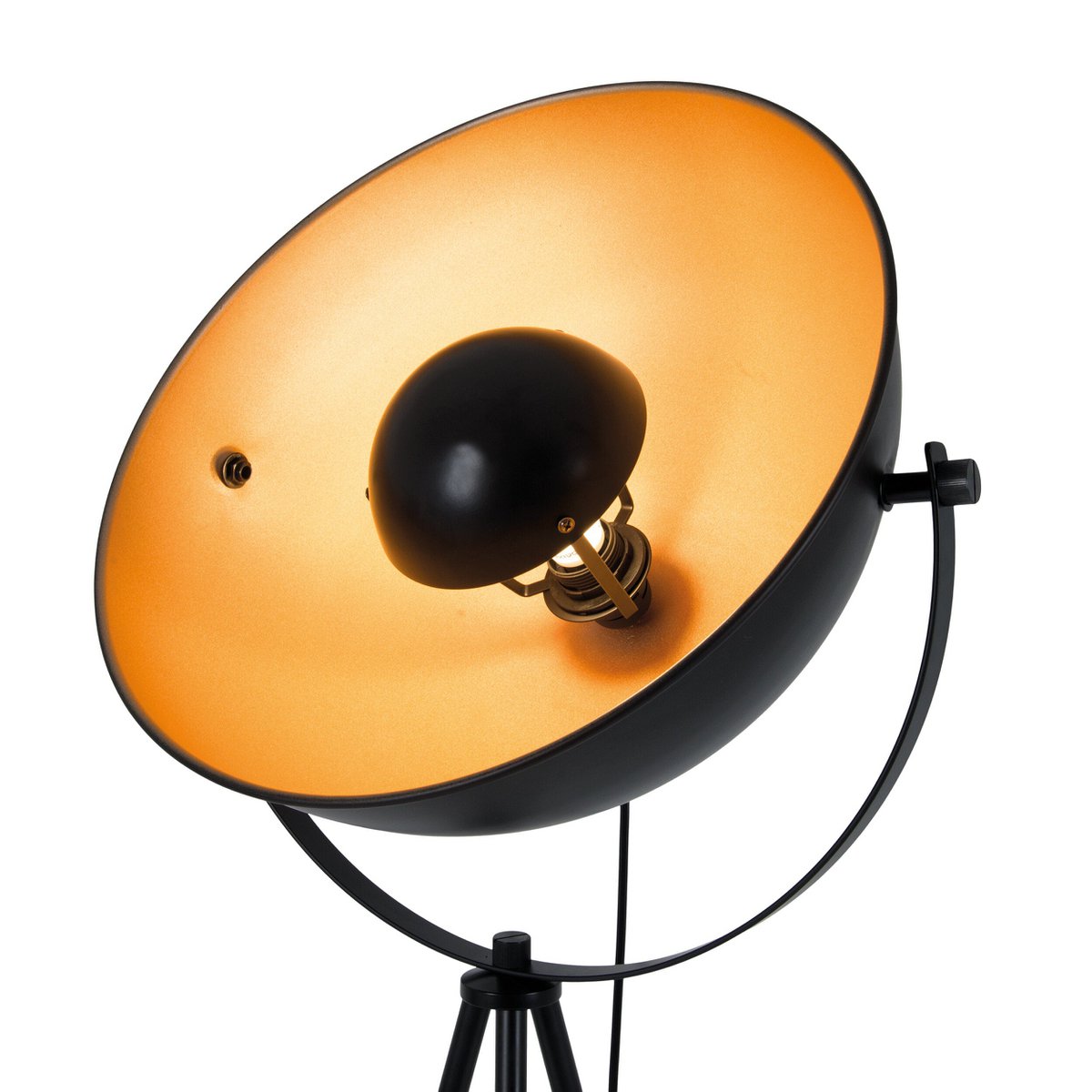 Bernice Black & Gold Tripod Floor Lamp