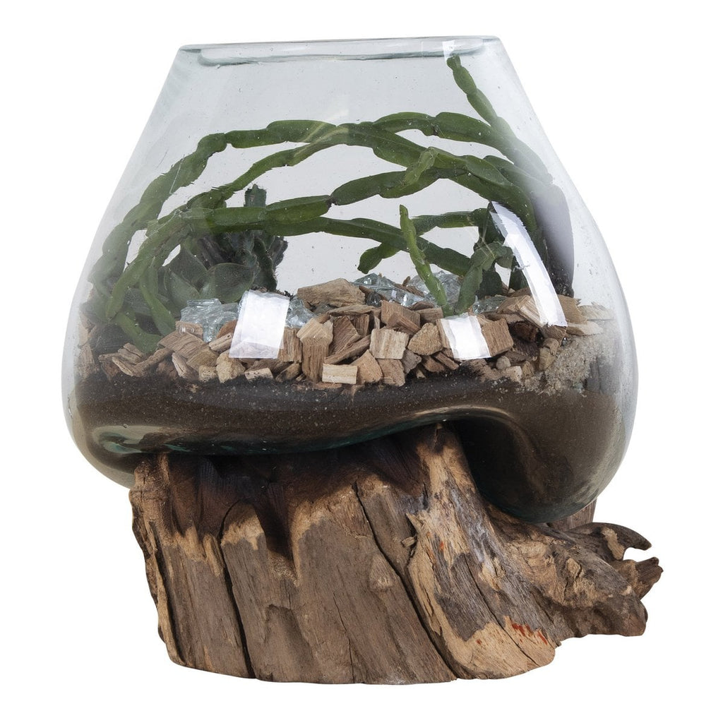 Belor waterdrop display with air plant in living room setting