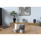 Elba Black Ceramic Plant Pot