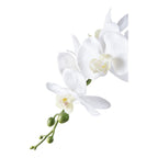 Faux Orchid Plant – White