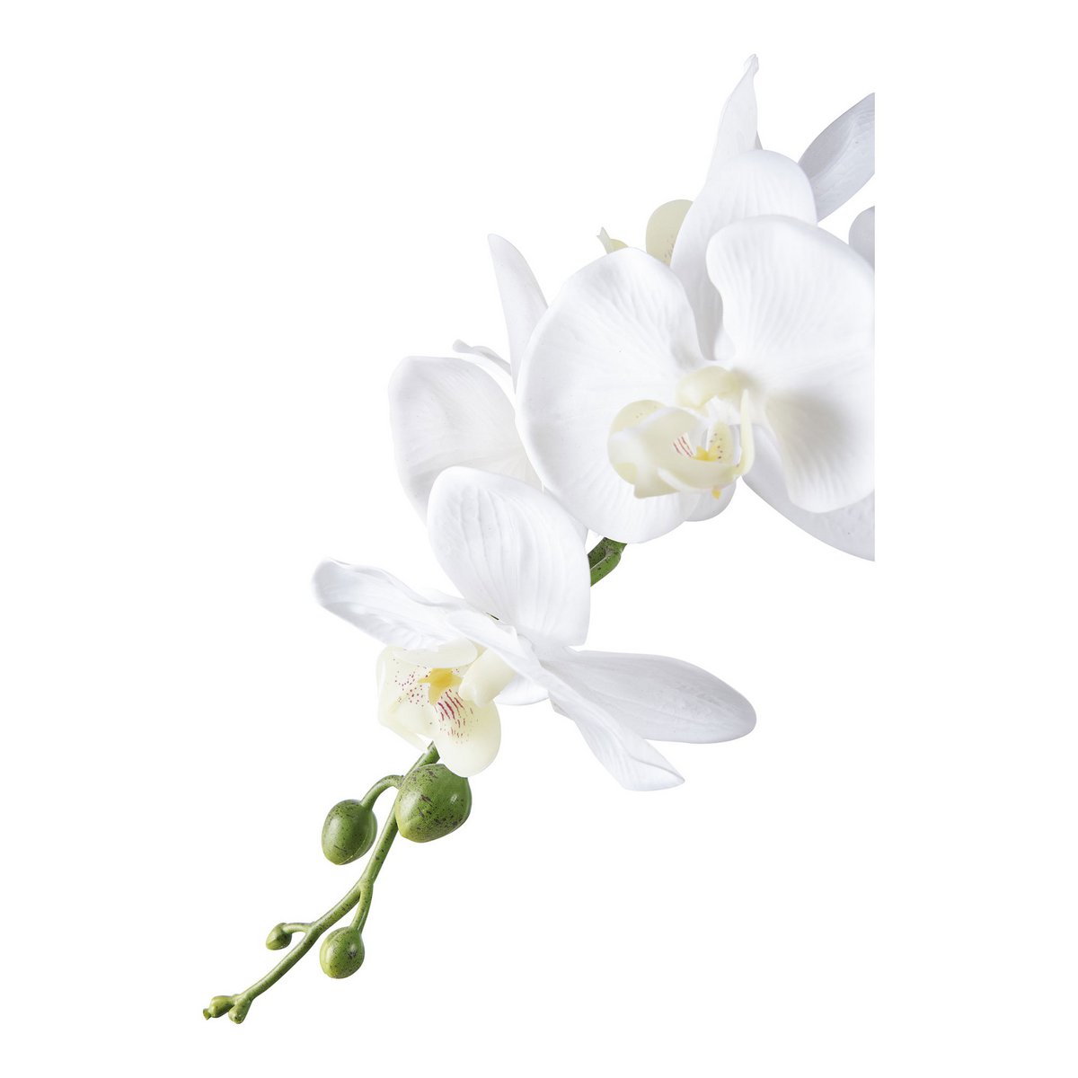Faux Orchid Plant – White