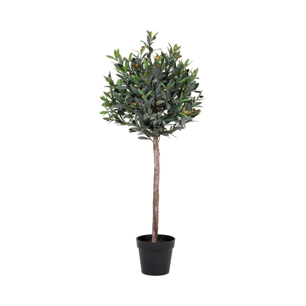 Olivenbaum - Grün, PE-Kunststoff/Polyester, 43x47x120 cm