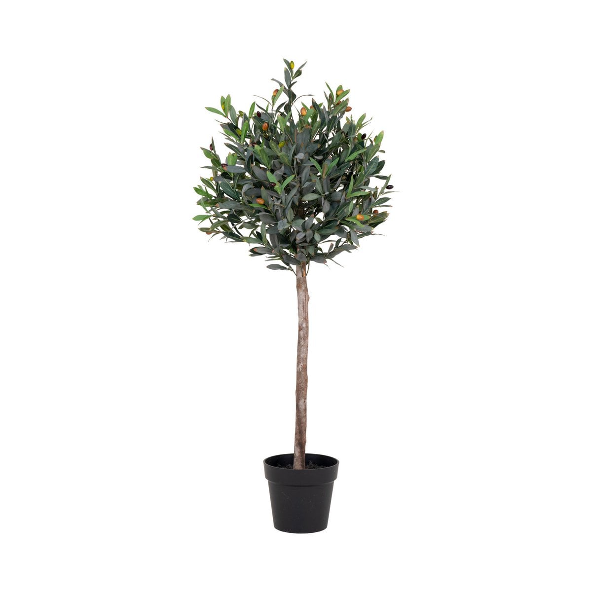 Olivenbaum - Grün, PE-Kunststoff/Polyester, 43x47x120 cm