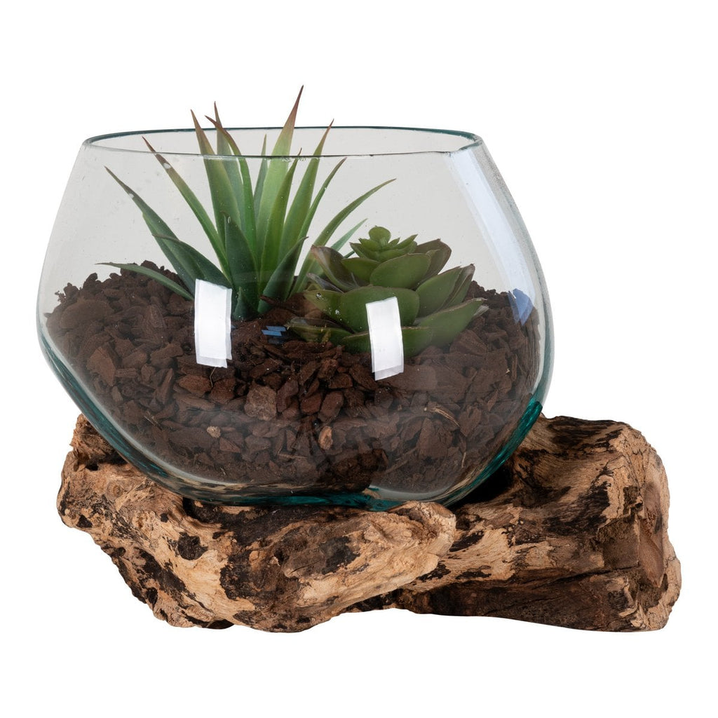 San Marino waterdrop display with succulent on shelf