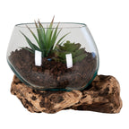 San Marino waterdrop display with succulent on shelf