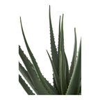 Faux Aloe Vera Plant – Green