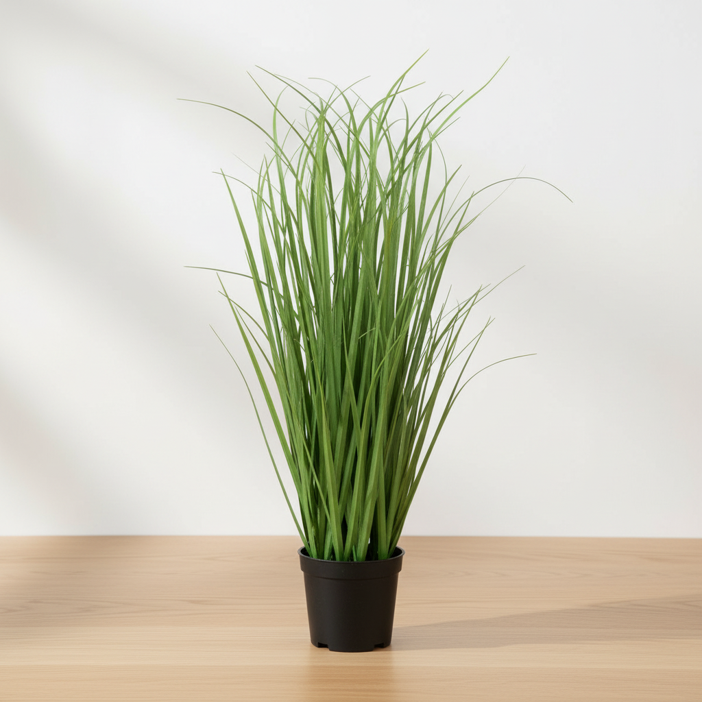 Small artificial poa grass plant on oak surface with soft daylight and clean off-white background