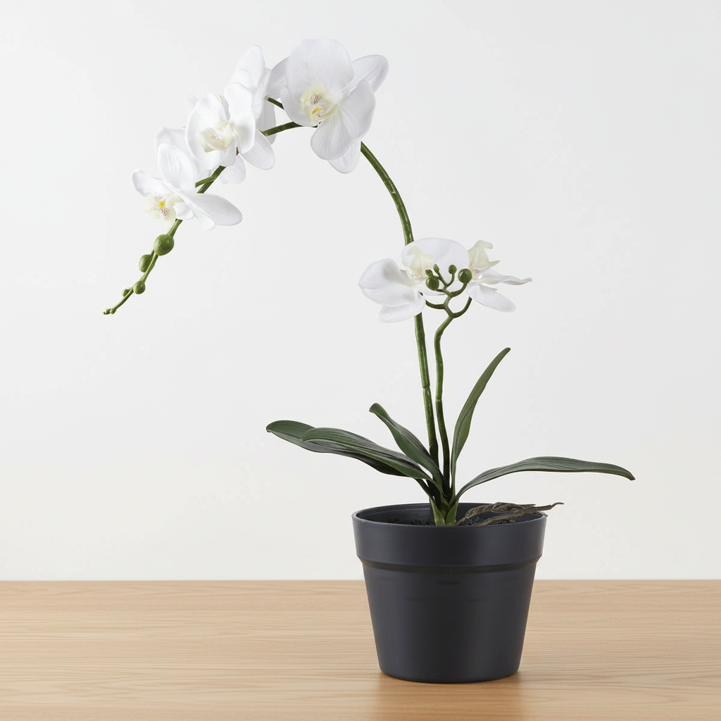 Realistic artificial white orchid plant on oak surface with soft daylight and clean off-white background