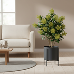 Realistic artificial Skimmia plant beside a sofa in a warm Nordic interior with soft natural light