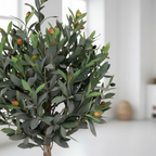 Close-up of faux olive tree canopy with realistic grey-green leaves and small olives