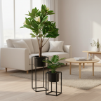 Set of two black steel Marla plant stands with green plants styled in a Scandinavian living room