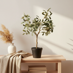 Realistic artificial olive tree with silvery-green leaves styled on a Scandinavian side table with warm natural light