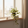 Realistic artificial Hoya Carnosa plant with waxy green and white leaves styled on a Scandinavian shelf