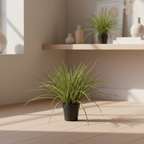 Realistic artificial grass plant with lush green blades styled in a Scandinavian floor corner with warm natural light
