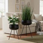 Set of two black steel Ardola plant pots with lush green plants in a warm Nordic living room corner