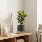 Realistic artificial Skimmia plant with green leaves and red flower buds styled in a Scandinavian living room corner