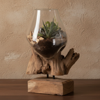 Marina teak glass waterdrop terrarium close-up, teak grain and glass detail