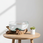 San Marino Waterdrop teak glass vase on an oak side table next to a small succulent, soft daylight