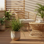 Realistic artificial grass plant on a sheltered balcony with warm afternoon light and rattan furniture