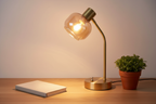 Libby brass gooseneck lamp on oak desk with linen notebook and small plant