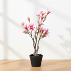 Tall slender realistic artificial magnolia tree on oak surface with soft daylight and clean off-white background