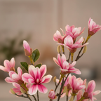 Close-up of artificial magnolia tree delicate pink blossoms and green leaves with soft warm backlight
