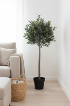Olive faux olive tree in living room corner beside linen sofa and woven basket
