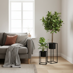 Set of two black steel Marla plant stands with lush green plants in a warm Nordic living room corner