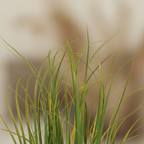Close-up of artificial poa grass slender green blades with soft warm backlight