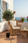 Faux olive tree on sunny balcony terrace beside rattan chair and side table