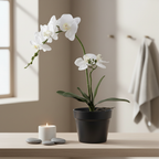 Realistic artificial white orchid plant on a bedroom dresser in a calm Nordic interior with candle and pebble